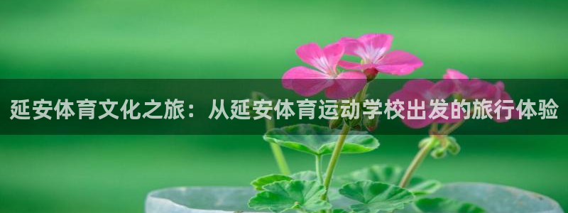 必发官方正版app娱乐首页官网下载:延安体育文化之旅:从延安