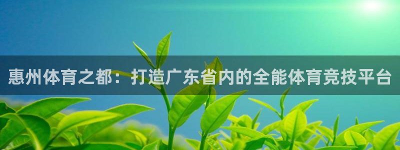 必发官网下载平台假的吗是真的吗吗:惠州体育之都:打造广东省内